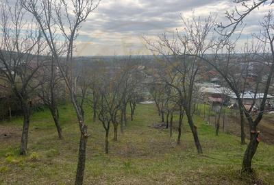 Teren intravilan 2.200 mp cu constructie existenta –Calinesti- Vranesti-Arges! - 2