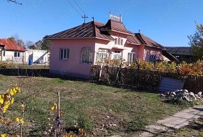 Casă cu 3 camere cu Teren 4000 Mp în Bărăști - 1