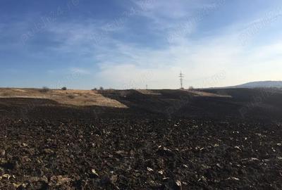 Teren de 7000 mp, în Dorobanț - 1