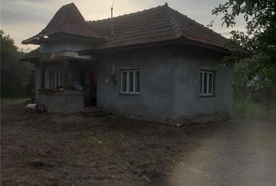 Casă cu 2 camere în Zătreni - 6