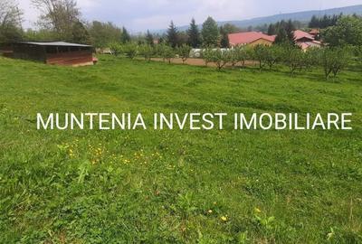Casă cu 4 camere în Băjești - 7
