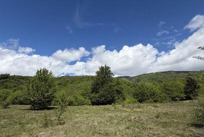 Teren de 1000 mp, în Nucșoara - 3