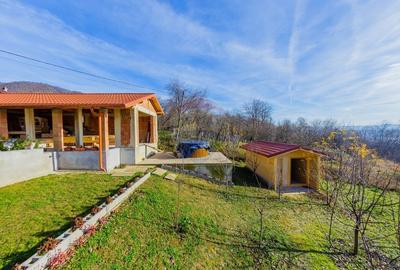 VILA DE VIS CU TEREN GENEROS, DE VANZARE - 43