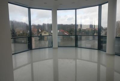 Spatiu pretabil showroom in Pipera 265 mp Spatiu pretabil showroom in Pipera 265 mp - 7