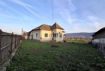 Casă cu 5 camere cu Teren 4443 Mp în Nicolae Bălcescu - 7