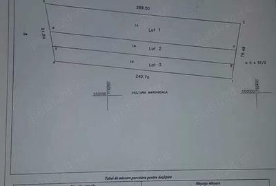 Teren de 20000 mp, în Sârbi - 1