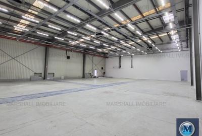 Spațiu industrial, de 2,100 mp, în Ariceștii Rahtivani - 2