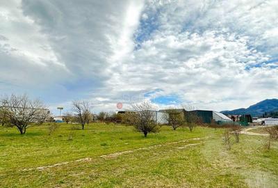 Teren Intravilan Zona Rezidentiala - 2