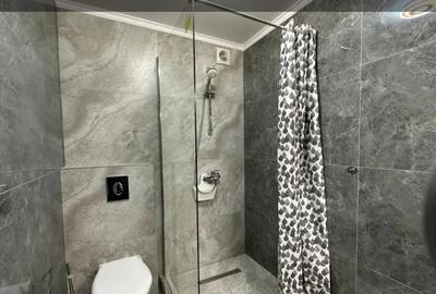 39328  Apartament 2 camere Sat Vacanta - 7