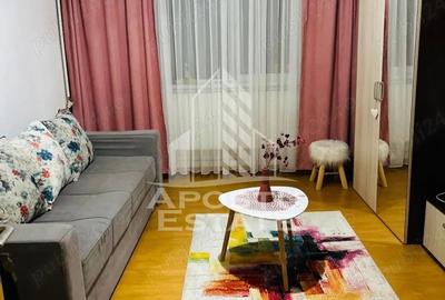 Garsonieră semidecomandată, mobilată în Buziașului