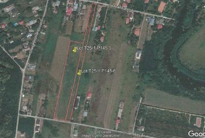 REL4001153 Teren Intravilan 15.840 mp Silistea Snagovului De Vanzare - 5