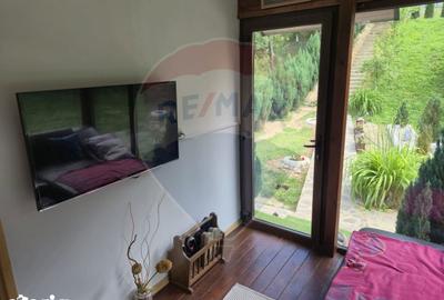 Casă cu 3 camere cu Teren 1268 Mp în Săpânța - 5