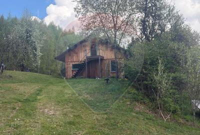 Casă cu 14 camere cu Teren 62330 Mp în Horea - 47
