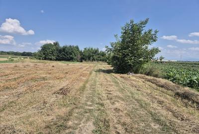 Teren de vanzare cu utilitati Stupini- COMISION 0% - 1