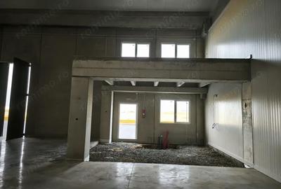 Spațiu comercial, de 523 mp, în Sânandrei - 2