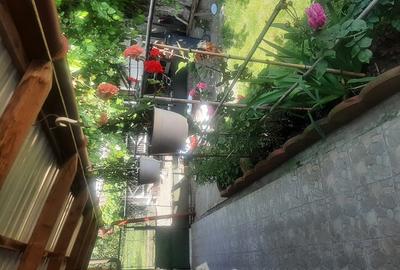 Casă cu 3 camere în Bretea Mureșană - 3