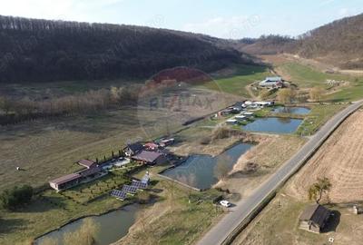 Teren de 7000 mp, în Hoghilag - 3