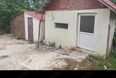 Casă cu Teren 2000 Mp în Central - 4