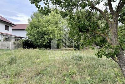 Casa individuala, teren 1500 mp, Sanandrei - 2