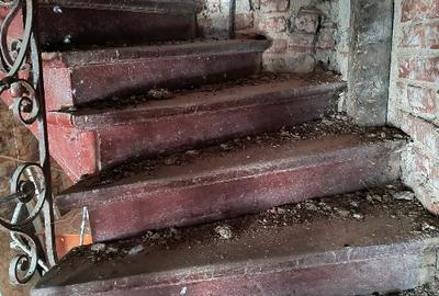 Vila zona Victoriei Vila zona Victoriei - 3