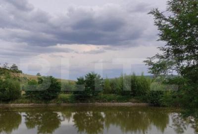 Spațiu comercial, de 3,000 mp, în Dej - 14