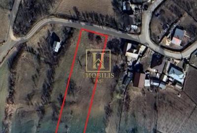 Teren Construcții intravilan de 2091 mp, în Mogoșești - 1