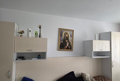 Apartament cu 2 camere decomandat în Jiu-Paroșeni - 7