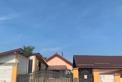 Vand doua case in aceeasi curte, in sat Dudesti, com. Luncoiu de Jos, - 10