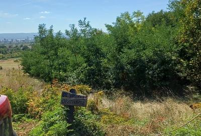 Teren Construcții intravilan de 4371 mp, în Copăcelu - 3