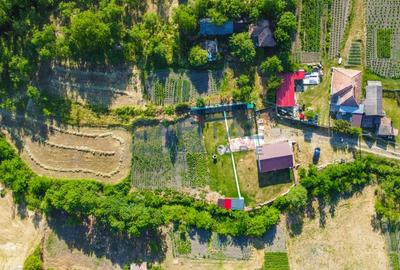 Casa cu teren de 3100 mp de vanzare in comuna Cornesti - 16