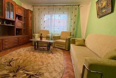 RECO Casa Spatioasa la 7km de Beius - 6