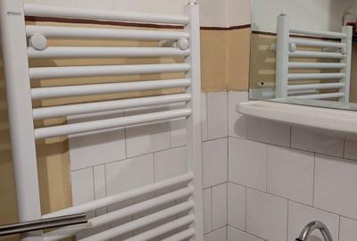 Apartament cu 4 camere decomandat în Dosu Bricii - 2