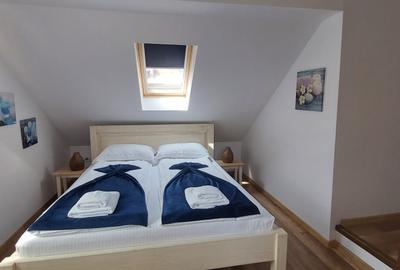 Afacere la cheie, ULTRACENTRAL PENSIUNE 4*! - 18