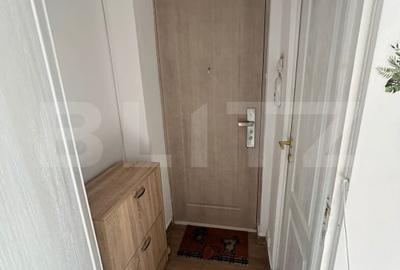 Apartament cu 2 camere semidecomandat, mobilat în Valea Rosie - 6