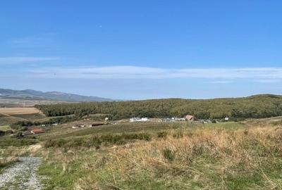 Teren de 2200 mp, în Ciurila - 3