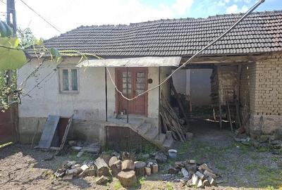 Casă cu 1 camere cu Teren 4200 Mp în Central - 3