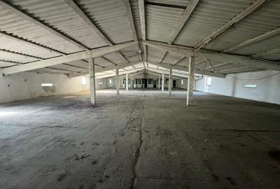 Spațiu industrial, de 1,200 mp, în Șofronea - 1