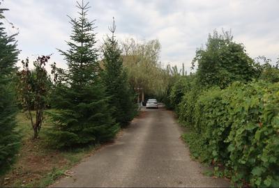 Casă individuală cu 5 camere cu Teren 1141 Mp în Rachieri