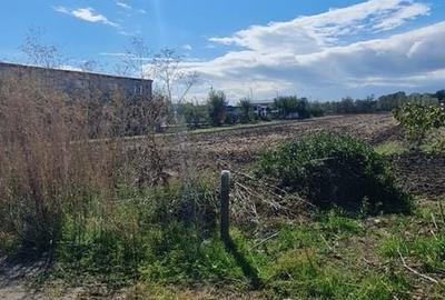Teren de 4600 mp, în Brăilei - 3