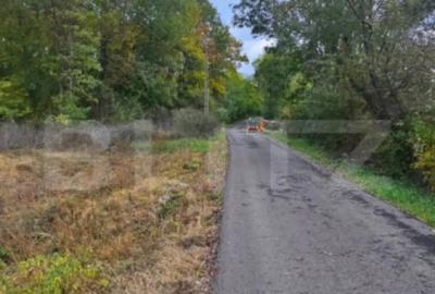 Teren de 2882 mp, în Bejan - 1