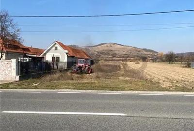 Teren de 3544 mp, în Uileacu de Criș - 4