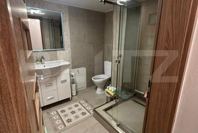 Apartament cu 4 camere decomandat, mobilat în Plopilor - 15
