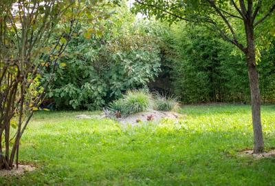 Casă individuală cu 10 camere cu Teren 990 Mp în Sălaj - 5