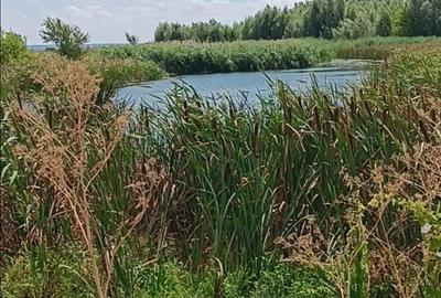Teren de 3350 mp, în Rasa