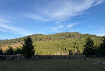 De vanzare 6850 mp pasune langa Manastirea Doroteia - Frasin /Plutonita - 16