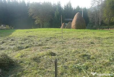 Teren de 11000 mp, în Valea Doftanei - 5