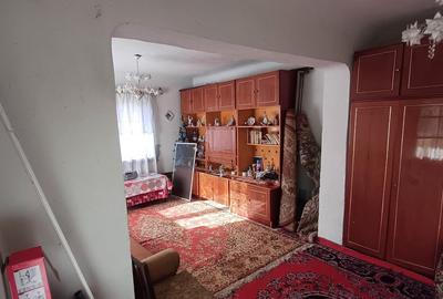 Casa sat NEDELEA + teren 2660 mp - 23