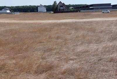 Teren Construcții intravilan de 1000 mp, în Voluntari