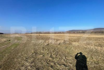 Teren de 5000 mp, în Bărăbanț - 2