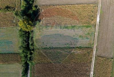 Teren agricol intravilan de 2242 mp, în Stupini - 5